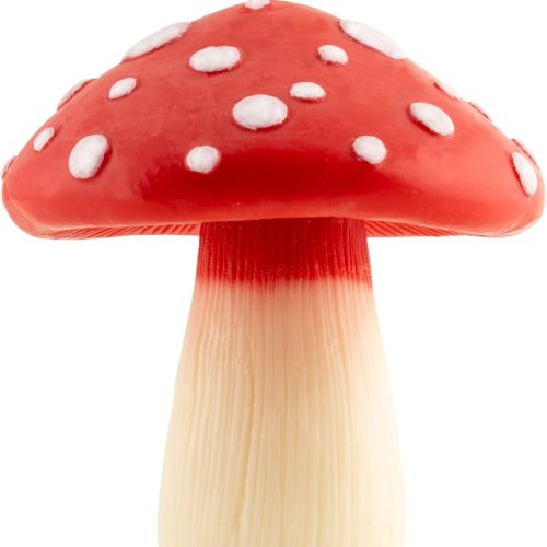 Mushroom Unscented Soy Wax Candle